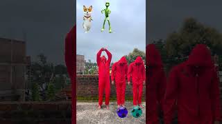 Dancing dogdame tu cositafrogjoker 😜youtubeshorts shorts [upl. by Liban236]