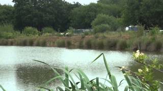 MOUSEHOLE LAKES NETTLESTEAD PADDOCK WOOD KENT ANGLERS MAIL TACTICAL BRIEFINGS [upl. by Hillari]