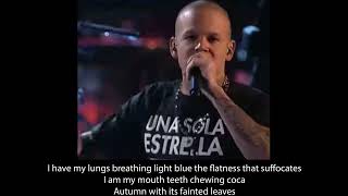 Calle 13 Latinoamérica with English subtitles [upl. by Santiago858]