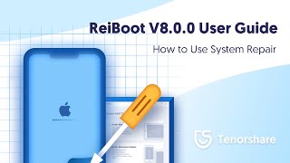 ReiBoot User Guide How to Use iOS System Repair  2021 Update [upl. by Emily624]