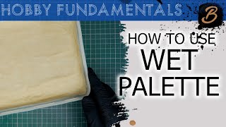 HOW TO MAKE AND USE A WET PALETTE A StepByStep Guide [upl. by Haisi]