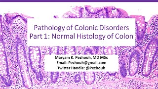 Pathology of Colonic Disorders Part1 Normal Histology of Colon [upl. by Auqinihs]