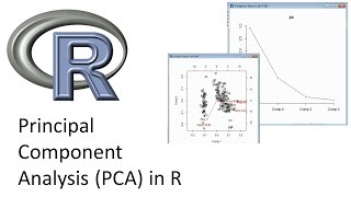 Principal Component Analysis PCA in R [upl. by Minica]