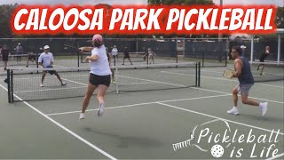 Caloosa Park Pickleball  Mary Kate Kelly amp Brett Besmertnik v Nick amp Shelley Puschak [upl. by Harned]