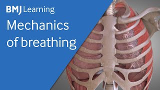 Basics of ventilation Mechanics of breathing  BMJ Learning [upl. by Ecyaj]