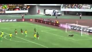 Sebastien Bassong amazing goal  Cameroon vs South Africa 26032016 Qualification [upl. by Aneala]