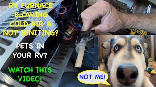 RV FURNACE Blowing COLD AIR amp Wont Light Furnace Removal amp Sail Switch Repair [upl. by Januarius]