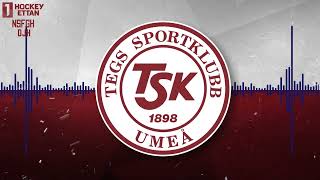 Tegs SK Goal Horn 202223 [upl. by Nuarb]