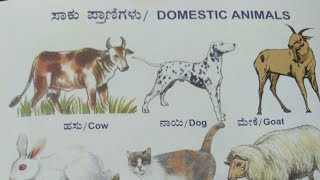 Learn Domestic animal names in kannada  Saaku pranigalu  Domestic Animals  ಸಾಕು ಪ್ರಾಣಿಗಳ ಹೆಸರು [upl. by Alroy439]