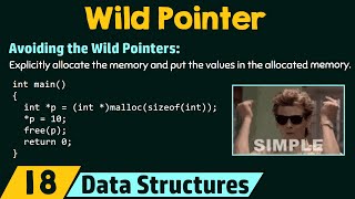 Understanding the Wild Pointers [upl. by Ellennaj]