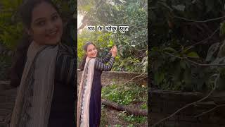 fruit चीकू gardening garden vegetables plants gardeningtips harvesting organicfarming [upl. by Enrika36]