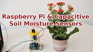 Raspberry Pi and Capacitive Soil Moisture Sensors for Gardening [upl. by Mellitz387]