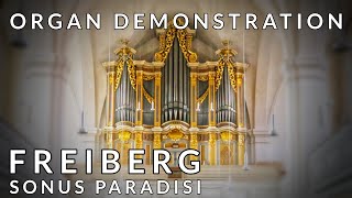 🎹 FREIBERG has a 1735 Gottfried Silbermann 32stop organ Demonstration [upl. by Nohsid902]