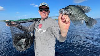 Crappie Beat Down on Lake Okeechobee  Catch Clean amp Cook [upl. by Orsino316]