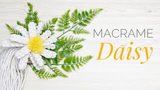 DIY Macrame Flower  Daisy [upl. by Anetsirhc]