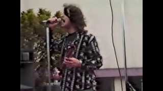 The Ophelias  Mr Rabbit Live At Haight Street Fair June 1987 Live [upl. by Bose]