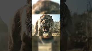 Extinct Animals That Scientists Trying To Get Back 🤯 shorts foryou mammoth tiger animals fyp [upl. by Anavoj]