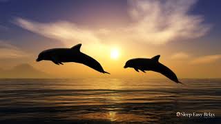 Relaxing Music Dreaming with Dolphins Underwater Sounds for Deep Relaxation Stress Relief [upl. by Aissilem411]