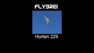 RC Horten HO 229 [upl. by Barden]