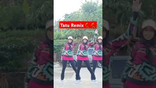 Tatu Remixshortvideo [upl. by Marthena]