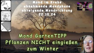 Mond Garten TIPP 1 Pflanzen im Garten nicht eingießen vor dem Winter [upl. by Ettolrahc]