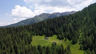 ITINERARI OROBIE VALTELLINESI VAL BONDONE LA VALLE SELVAGGIA LA RISERVA E LA MALGA CANTARENA [upl. by Aerdnaeel]