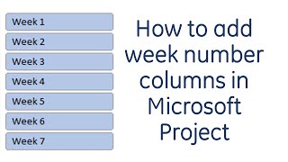 How to add week number columns in Microsoft Project [upl. by Rotow751]