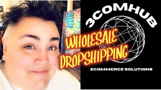 Make Money With This NEW Wholesale Dropshipping Website [upl. by Annaid]