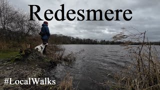 Redesmere amp Capesthorne Cheshire  Local Walks [upl. by Koetke369]