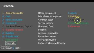 ElementsAccount Types amp Account Classification Practice [upl. by Ayekin]