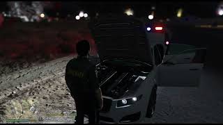 LSPDFR 2014 charger BCSO patrol [upl. by Cherian631]