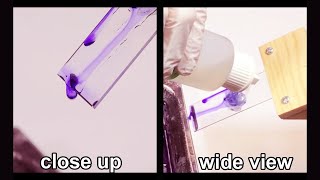 How to Gram Stain Bacteria  Techniques Demonstration [upl. by Diao]