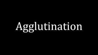 How to pronounce Agglutination [upl. by Lolande541]