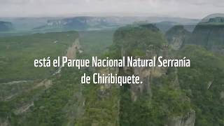 ¡El Parque Nacional Natural Chiribiquete ha sido declarado Patrimonio de la Humanidad [upl. by Nisbet]