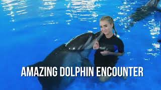 Amazing Dolphin Encounter  Swim with Dolphins  Fun Activities in Dubai [upl. by Cousins]