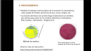 Microbiología  Práctica 11 Enterobacterias  Dr Zárate [upl. by Noma660]