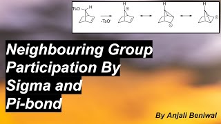 NGP by sigma and pi bond with examples [upl. by Faustine]