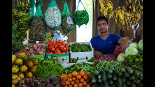 Dubai Central Fruit amp Vegetable Market  ദുബായിലെ ഏറ്റവും വലിയ Fruit amp Vegetable മാർക്കറ്റ് [upl. by Saltzman463]