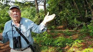 Beginning Bird Watching Tips from Birding Expert Alan Hale [upl. by Tare163]