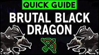 OSRS Brutal Black Dragon Slayer Guide  Quick Guide 2019 [upl. by Shoemaker]