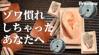 ASMRに慣れて肥えた耳でもゾワゾワする8種類の音 1月総集編 For People Who Dont Tingle [upl. by Stallworth]