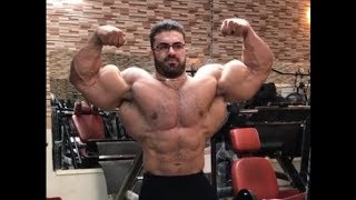 Amazing Persian Bodybuilder Behrooz Tabani [upl. by Gemoets246]