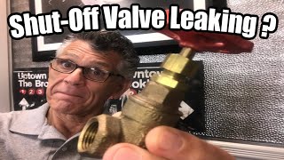 Leaky Shut Off Valve Repair [upl. by Burrow]