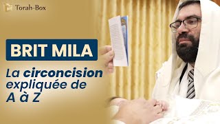 BRIT MILA 👶 LA CIRCONCISION EXPLIQUÉE DE A à Z Lois Coutumes Rituel [upl. by Wade]