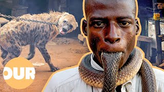 The Terrifying Animal Gangs Of Nigeria  Our Life [upl. by Meela]