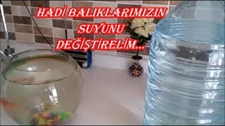 BALIKLARIN SUYU NASIL DEĞİŞTİRİLİR TÜM AYRINTILARI İLE İZLE [upl. by Garihc769]