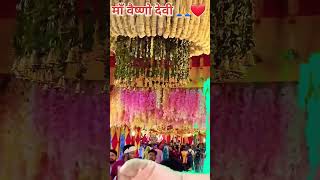 love vaishnodevidiaries song mavaishnodevi vlog vaishnodevistampede bhaktisong gan [upl. by Xavier163]