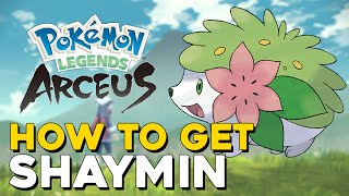 Pokemon Legends Arceus How To Get Shaymin Legendary Pokemon [upl. by Anayik330]