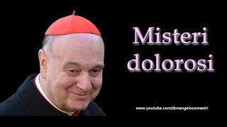 Mons Angelo Comastri – Misteri dolorosi del Santo Rosario [upl. by Llenoj610]