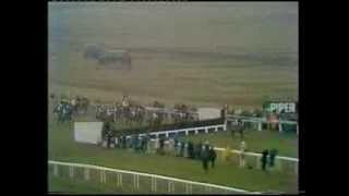 1979 Piper Champagne Cheltenham Gold Cup Chase [upl. by Pippa]